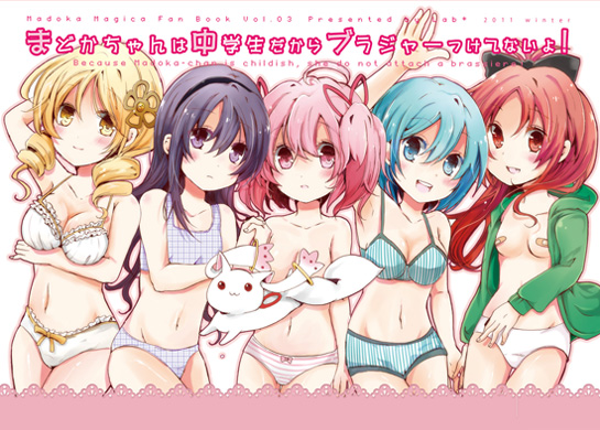 まどかちゃんはちゅうがくせいだからブラジャーつけてないよ!表紙